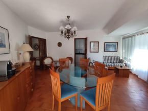 12D Rocha - Casas & Papeis